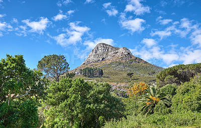 Buy stock photo Scenic landscape of blue sky over the peak of Lions Head Mountain in Cape Town from below with copy space. Beautiful views of plants and trees around a popular tourist attraction and natural landmark