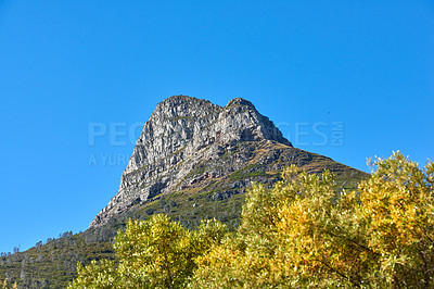 Buy stock photo Landscape of mountain on a blue sky with copy space. Rock outcrops on a beautiful sunny day. Lions Head mountains peak with green trees and bushes, a popular landmark in Cape Town, South Africa