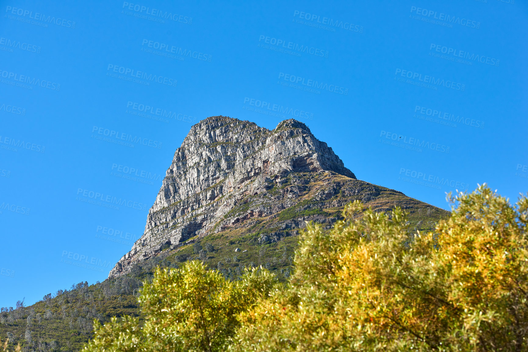 Buy stock photo Landscape of mountain on a blue sky with copy space. Rock outcrops on a beautiful sunny day. Lions Head mountains peak with green trees and bushes, a popular landmark in Cape Town, South Africa