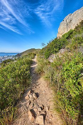 Buy stock photo Concealed mountain pathway surrounded by fynbos. Beautiful view of the sky and city from the top of the hills. A hiking trail on lions head during a clear day with a cloudscape. 