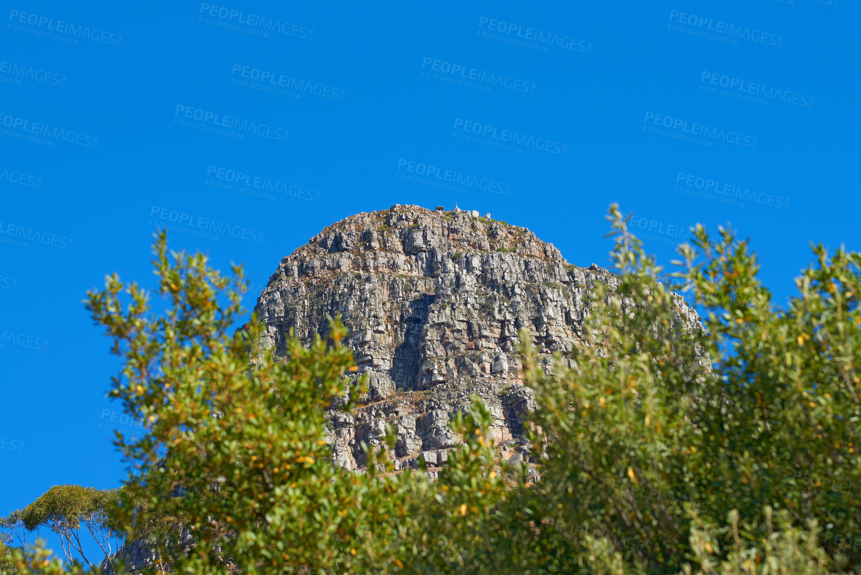Buy stock photo Landscape view of Lions Head mountain in popular tourism or hiking destination. Rough terrain with blue sky, copy space and lush green trees or plants growing in remote, wild Cape Town, South Africa