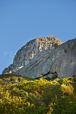 Buy stock photo Copyspace with scenic landscape view of Lions Head mountain in Cape Town, South Africa against a clear blue sky background from below. Magnificent panoramic of an iconic and famous travel destination