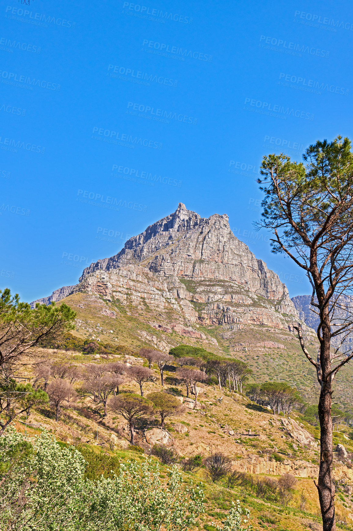 Buy stock photo Low angle view of a mountain peak in South Africa against a blue sky with copy space. Scenic nature landscape of a remote hiking trail and travel location to explore near Table Mountain in Cape Town