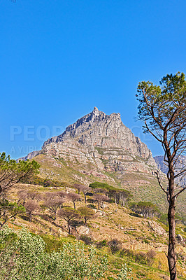 Buy stock photo Low angle view of a mountain peak in South Africa against a blue sky with copy space. Scenic nature landscape of a remote hiking trail and travel location to explore near Table Mountain in Cape Town