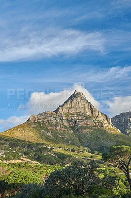 Buy stock photo Lush green plants surrounding Table mountain in Cape town, South Africa with copyspace. Trees and bushes growing in beautiful, peaceful harmony. Calm, fresh, and soothing nature with quiet ambience