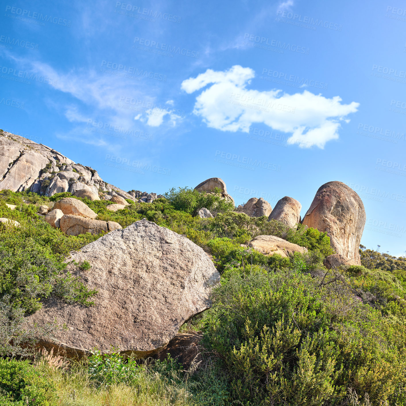 Buy stock photo Many rocks in between bushes on a blue cloud sky with copy space. Wild nature landscape of large stones with plants, grass, and uncultivated shrubs growing on rolling hills in an eco environment