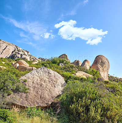 Buy stock photo Many rocks in between bushes on a blue cloud sky with copy space. Wild nature landscape of large stones with plants, grass, and uncultivated shrubs growing on rolling hills in an eco environment