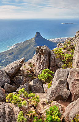 Buy stock photo Beautiful panoramic view of Table mountain in Cape Town, Lush green bushes and trees growing on rocky peaks in calm nature in harmony. A scenic natural tourist destination in the Western cape 