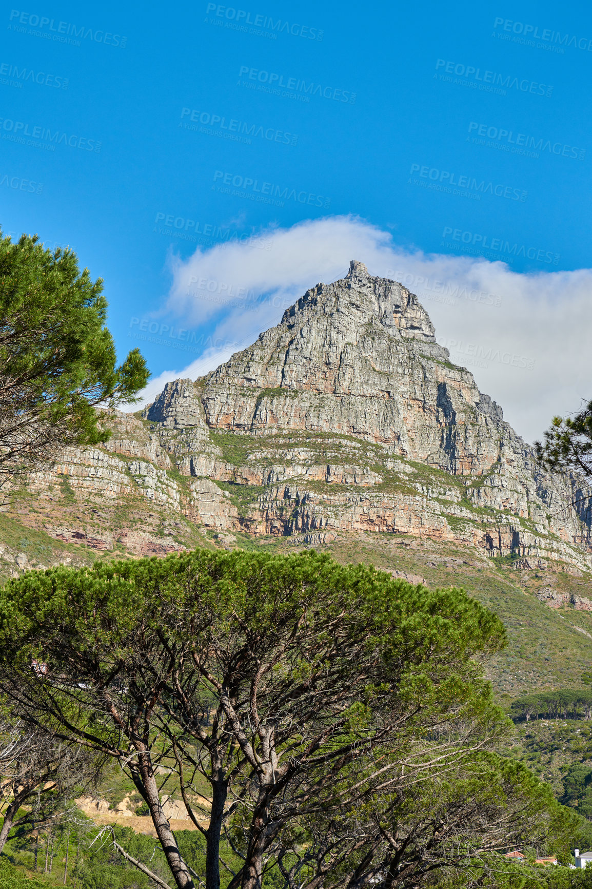 Buy stock photo A landscape of a mountain with a cloudy blue sky background and copy space. Peaceful and scenic view of a summit near lush green plants and trees outdoors in nature on a summer day