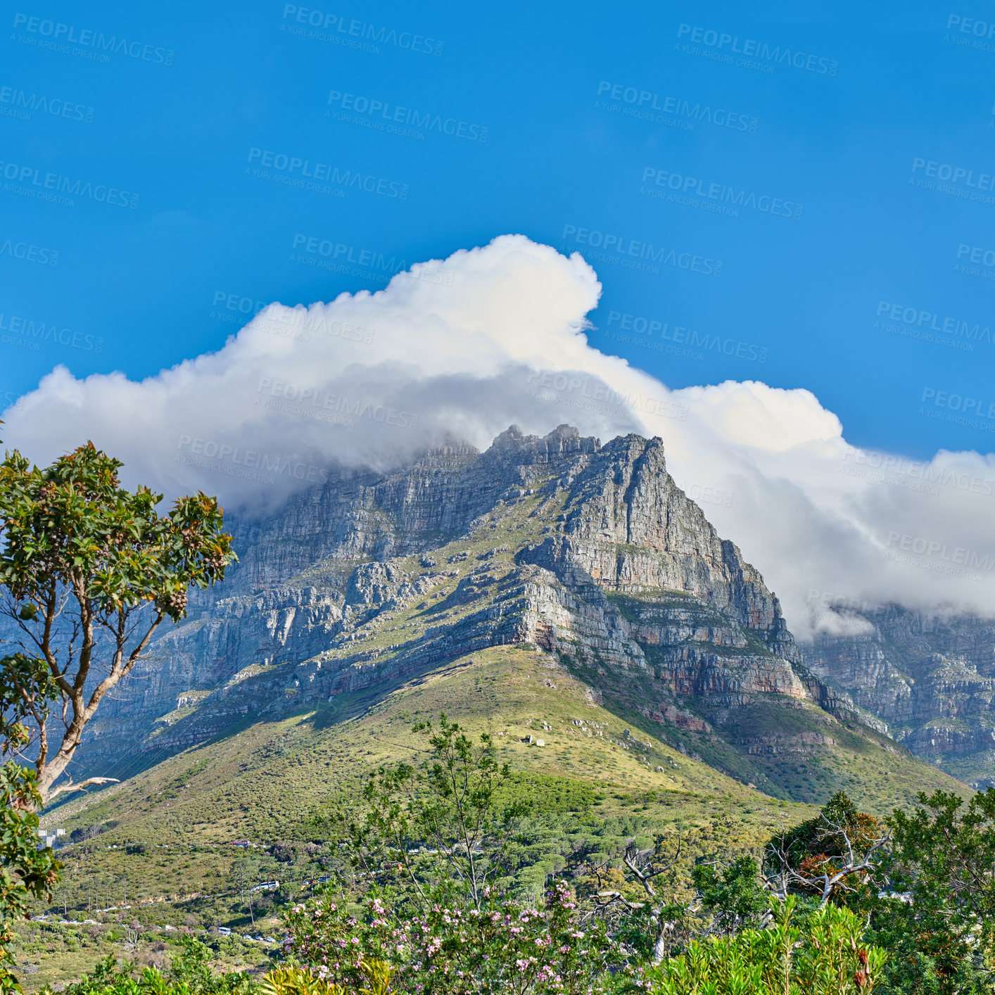 Buy stock photo Cumulus clouds forming over Table Mountain in Cape Town with copyspace. Rocky terrain on a sunny day with cloudy shadows, peaceful nature in harmony with soothing views of plants and landscape