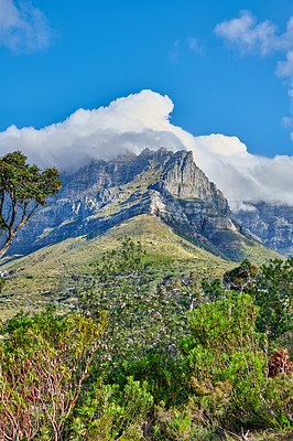 Buy stock photo Landscape view of Table Mountain and surroundings during the day in summer. Copy space of a popular natural landmark with bushes and trees for tourism. Copyspace of a tourist attraction in Cape Town