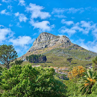 Buy stock photo Landscape of a mountain on cloudy blue sky. Beautiful nature view of Lions Head mountains peak covered in lots of wild green trees and bushes in a popular hiking destination, Cape Town, South Africa