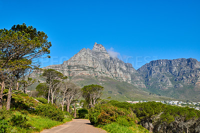 Buy stock photo Landscape view of mountains background from a lush, green botanical garden and national park. Table Mountain in Cape Town, South Africa with blue sky and copy space while discovering peace in nature