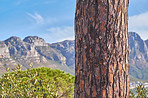 Table Mountain - Cape Town