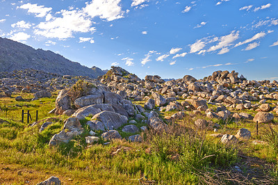 Buy stock photo Rocks and boulders in an uncultivated, rough hiking terrain on Table Mountain, Cape Town, South Africa. Lush green bushes and shrubs growing among flora and plants in a quiet, overseas nature reserve