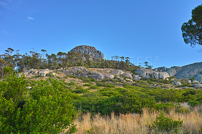 Buy stock photo Landscape view of Table Mountain and surroundings during the day in summer. Scenery of a popular natural landmark with bushes and trees for tourism. Copyspace of a tourist attraction in Cape Town
