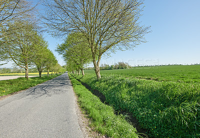 Buy stock photo Open road near beautiful bright green grass land and trees on a summer day. The vibrant landscape of an asphalt roadway through fresh pasture and meadow outdoors in nature on a spring afternoon