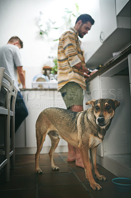 Buy stock photo Cropped shot of two young men making food together in the kitchen at home with their dog during the day