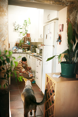 Buy stock photo Cropped shot of a cheerful young man calling his dog to eat his food inside of the kitchen during the da