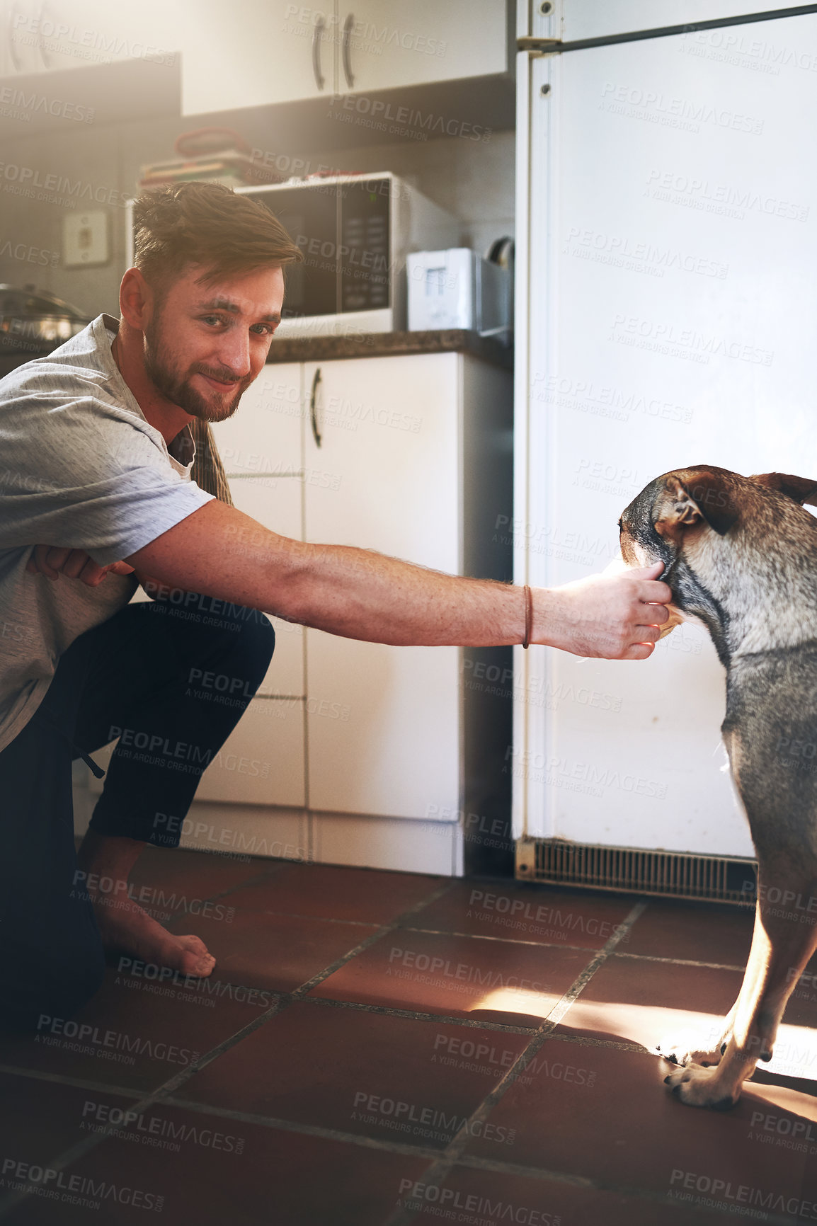 Buy stock photo Cropped shot of a cheerful young man shaking his adorable dog's paw inside of the kitchen during the day