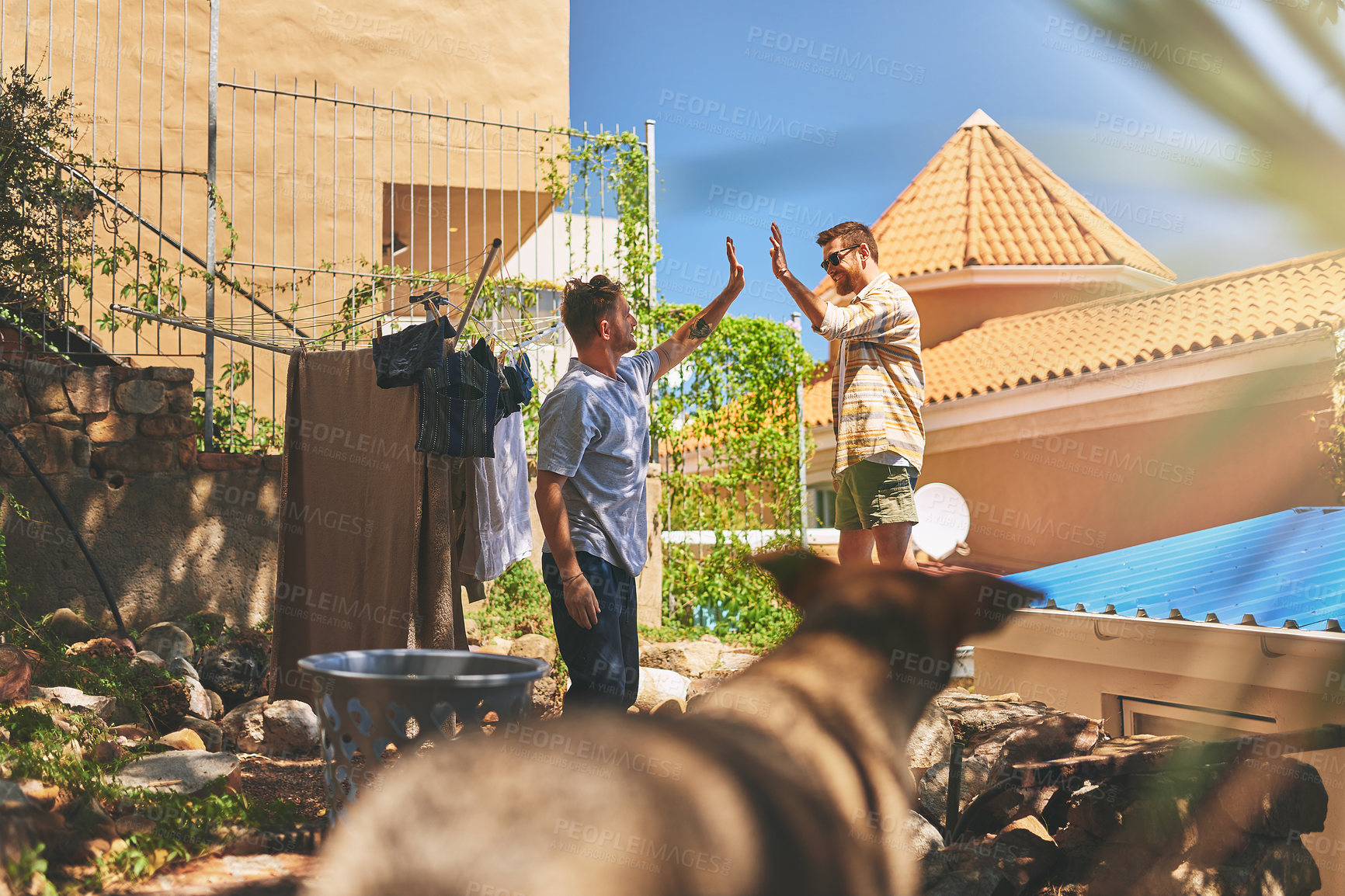 Buy stock photo Men, dog and laundry with high five, outdoor and partnership for love, bonding or affection. Animal, male people and pet care for wellness, play or emotional support as friends on weekend or holiday