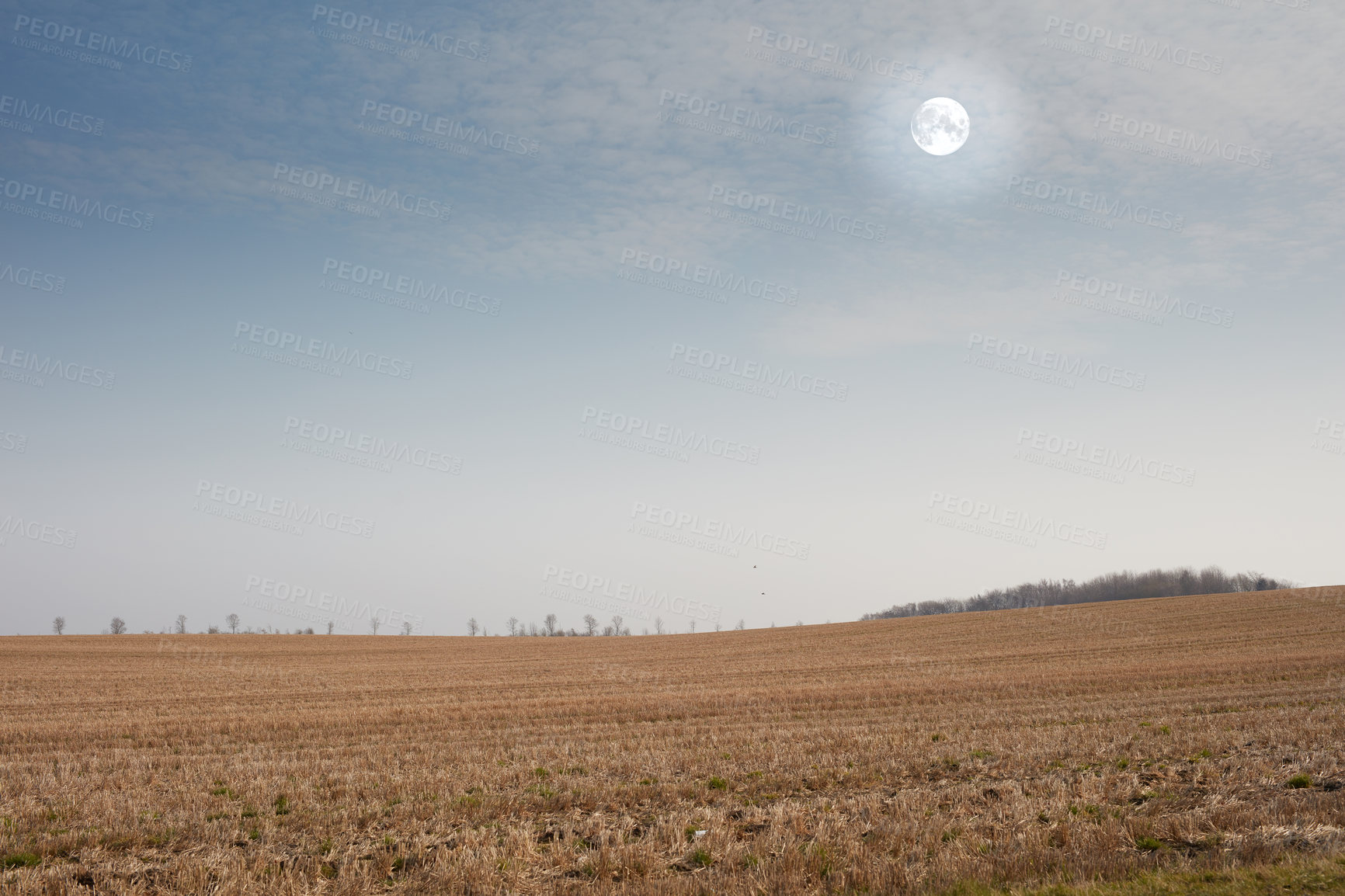 Buy stock photo Farmland ready for harvesting