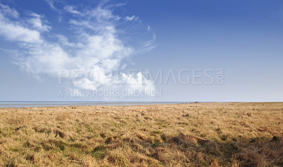 Buy stock photo Landscape of a dry open field by the sea in the East coast of Kattegat, Jutland, near Mariager fjord, Denmark showing change in season. Springtime in an arid coastal meadow in the wilderness 