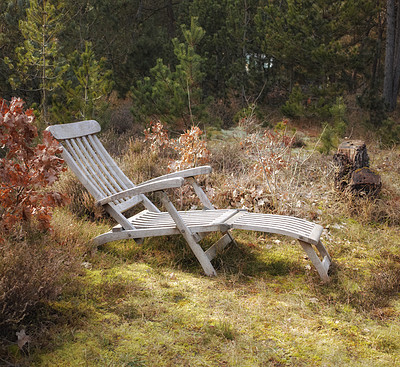 Buy stock photo Uncultivated forest wilderness in Denmark - Odde Natural Park