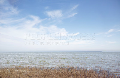 Buy stock photo Copyspace with landscape of ocean and dry grassland in Kattegat in Denmark against a blue sky background. Tufts of reeds growing along the shore. Scenic seaside to explore for travel and tourism