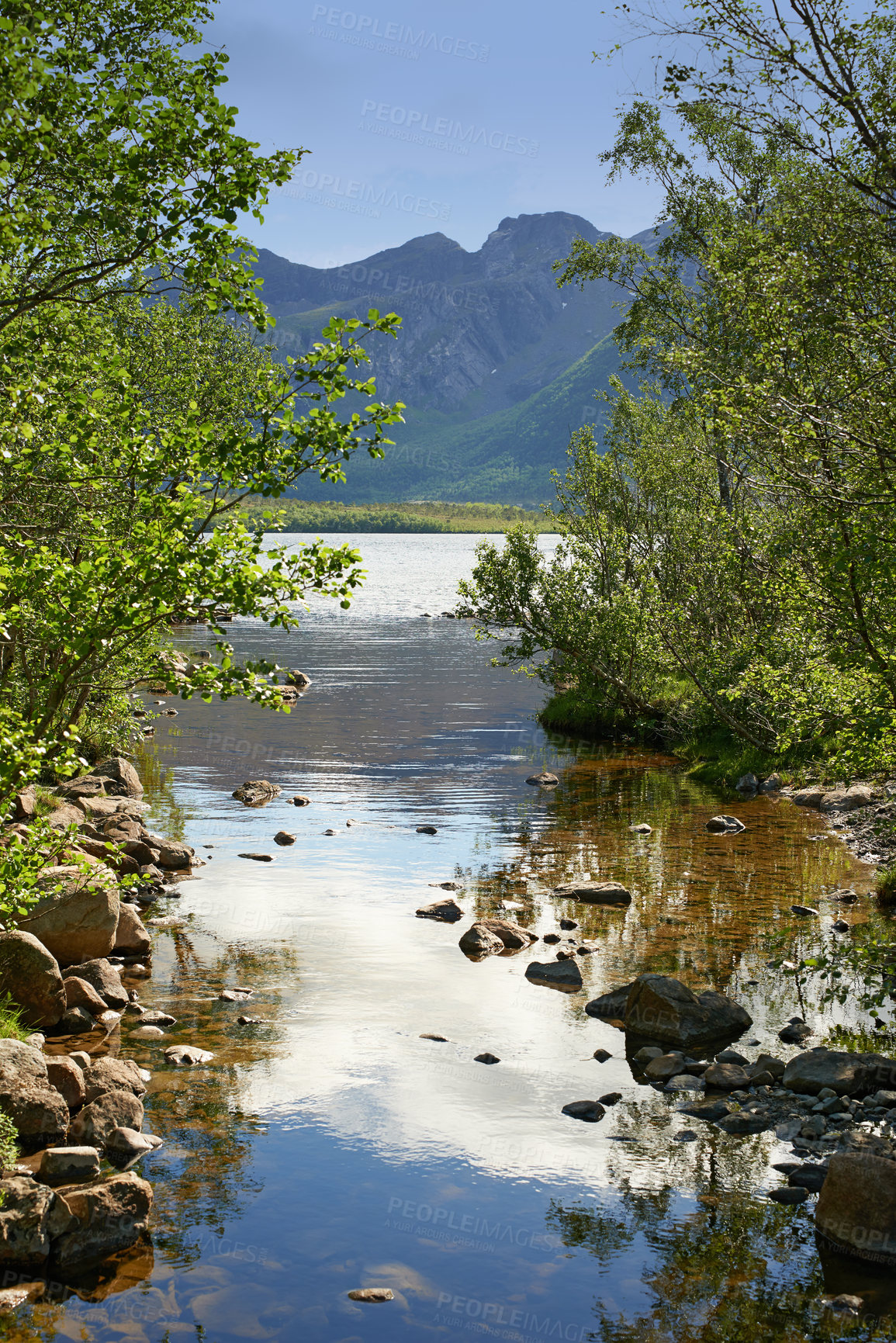 Buy stock photo Copyspace with scenic landscape of a river flowing in Bodo, Nordland, Norway surrounded by thriving nature in the countryside. Picturesque mountain and lush green hills with blooming trees and plants