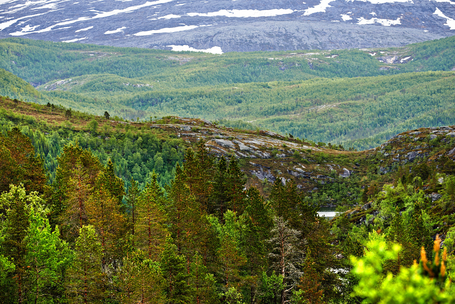 Buy stock photo Scenic landscape of Bodo in Nordland with natural surroundings and copy space. Picturesque mountain and lush green hills with blooming trees and plants. Hiking trails in the countryside of Norway