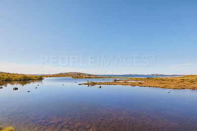 Buy stock photo Landscape of a marsh lake with reeds against a blue horizon. Quiet empty swamp land on a sunny day in winter with wild dry grass in Norway. Peaceful and secluded scenic nature with copy space