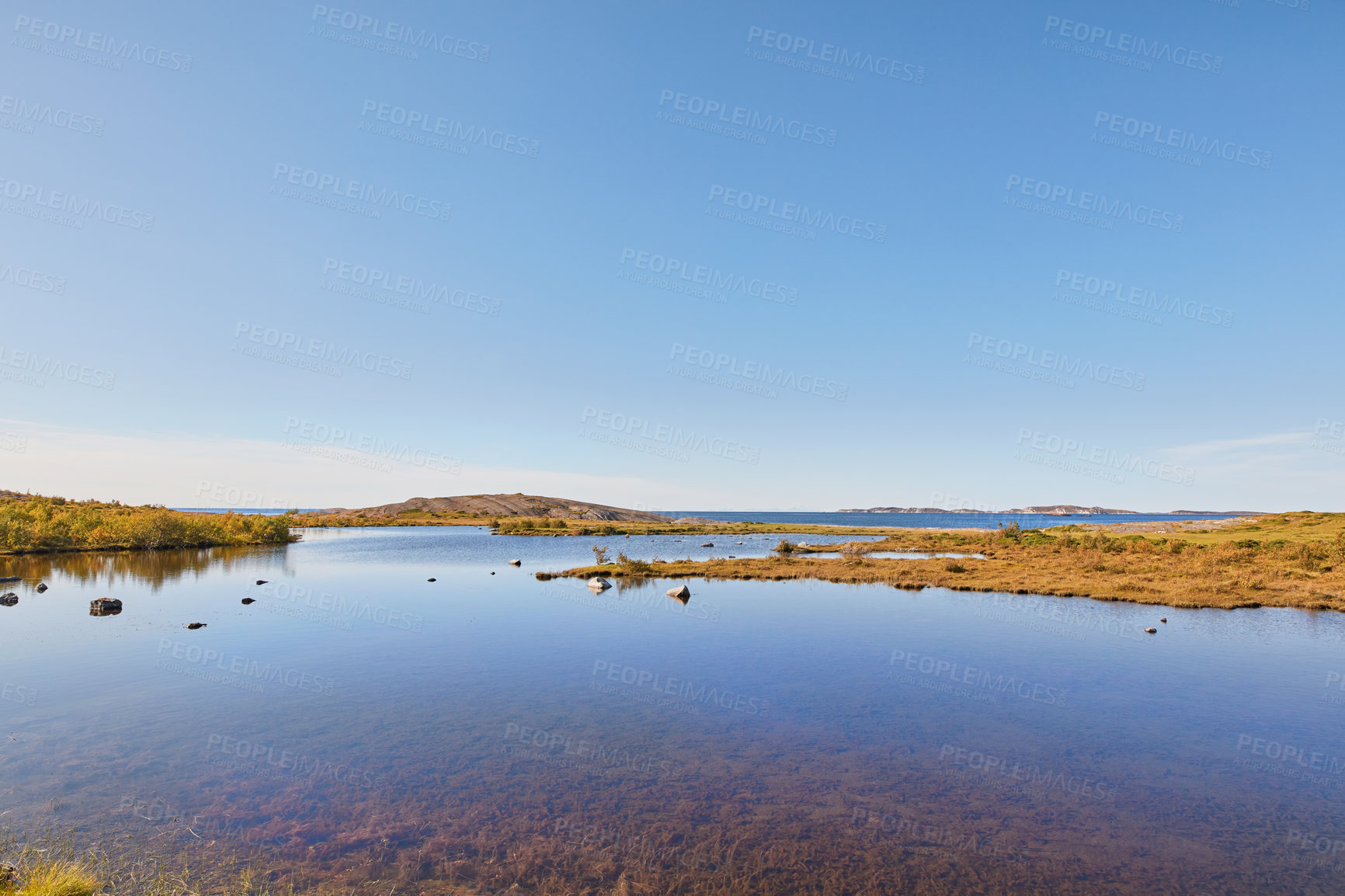 Buy stock photo Landscape of a marsh lake with reeds against a blue horizon. Quiet empty swamp land on a sunny day in winter with wild dry grass in Norway. Peaceful and secluded scenic nature with copy space