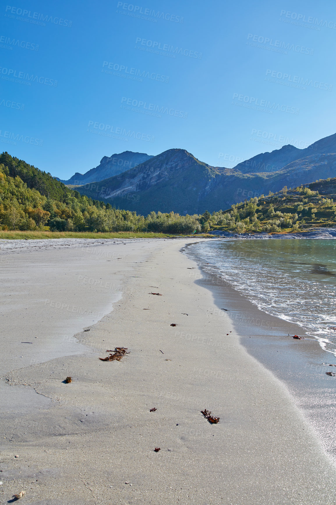 Buy stock photo Sea and ocean view of beach waves washing onto empty and relaxing public seashore with forest and mountains background in Norway. Seascape with blue sky and copy space of calm, arctic and polar water