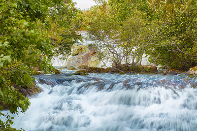 Buy stock photo Closeup of a waterfall in the forest with green trees. Beautiful nature landscape of a natural rushing stream in a valley. Natural, fresh river flows between lush tree leaves in an eco environment