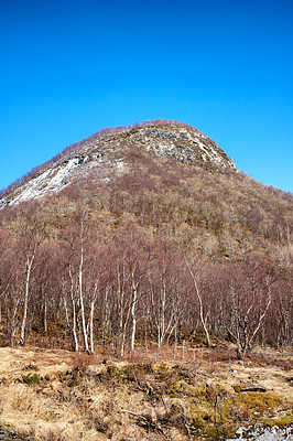 Buy stock photo A forest mountain with melting snow on a blue sky copy space. Rocky outcrops with snowy hilltops, dry trees and wild bushes in early spring. Nature view of hills with regrowth after winter