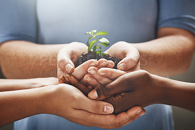 Buy stock photo Plant, hands and group of people gardening, agriculture and business growth or collaboration, support and teamwork. Palm, sapling soil and diversity woman, man or community agro, farming or earth day