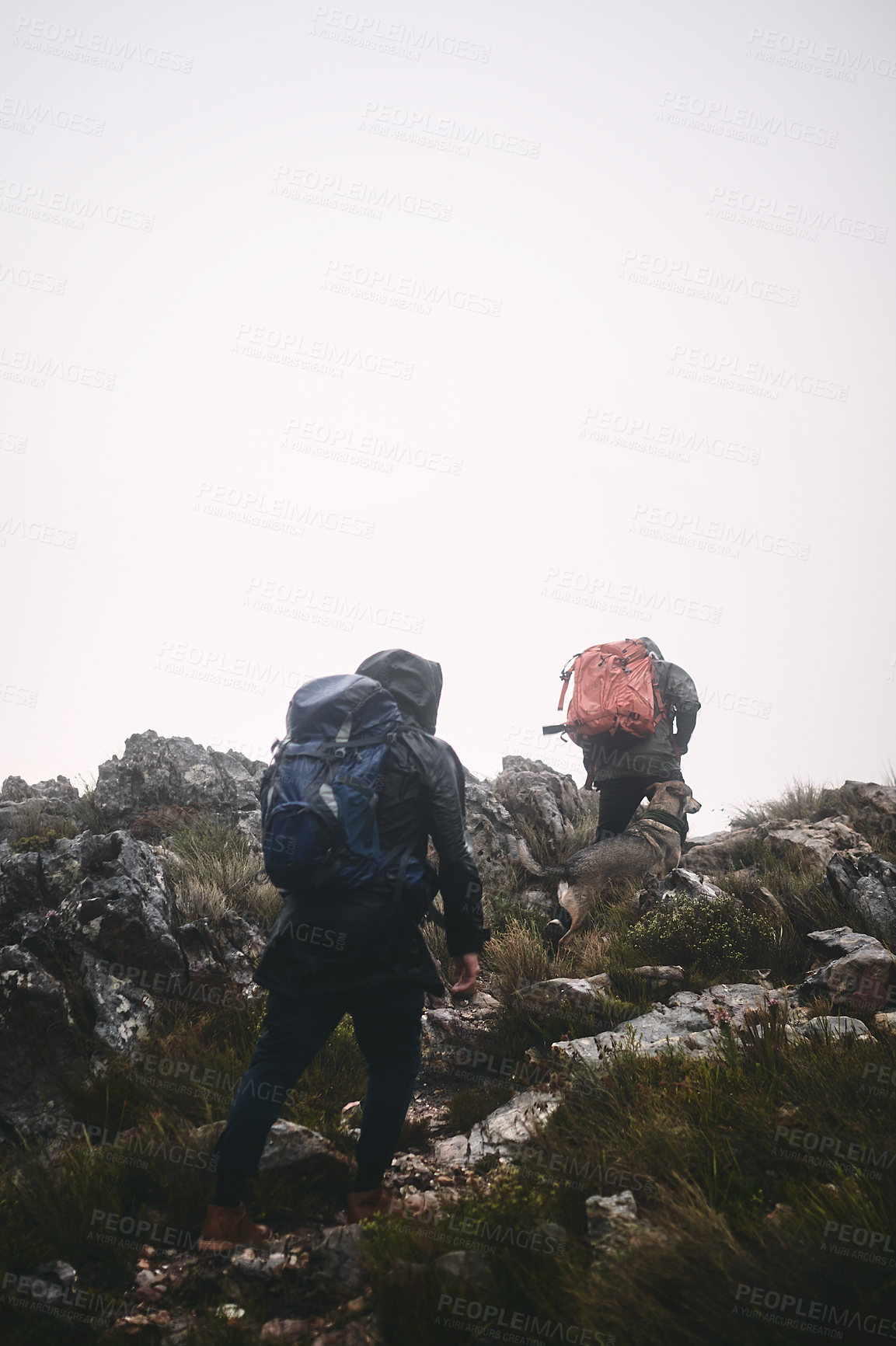 Buy stock photo Shot of two male friends out hiking in the mountains