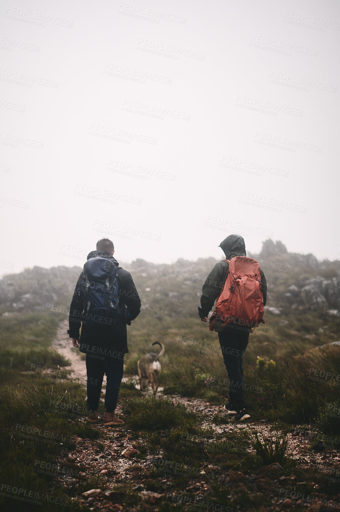 Buy stock photo Shot of two friends and a dog out hiking in the mountains on a foggy day