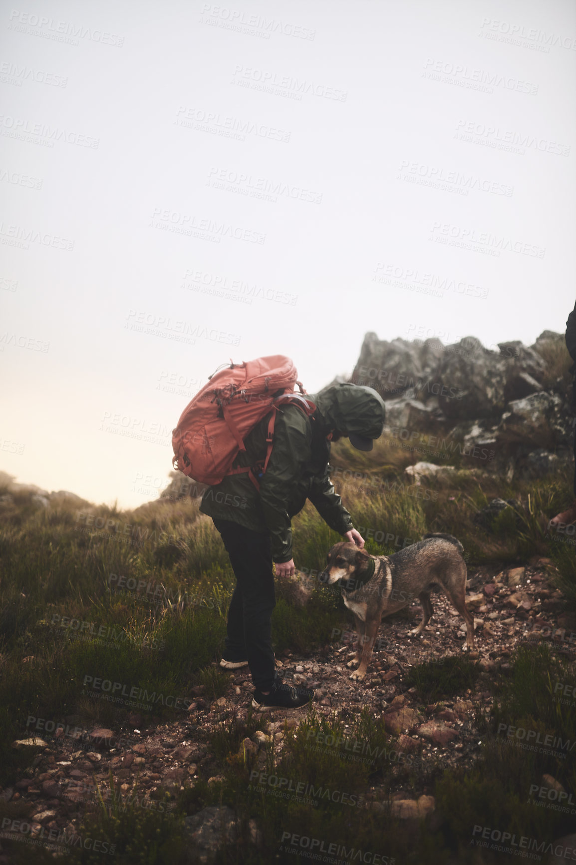 Buy stock photo Shot of a man wearing his backpack while out for a hike in the mountains with his dog