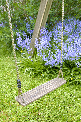 Buy stock photo Bluebell - Scilla siberica, blue flowers in late spring