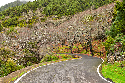 Buy stock photo Photo from the island of La Palma, Spain