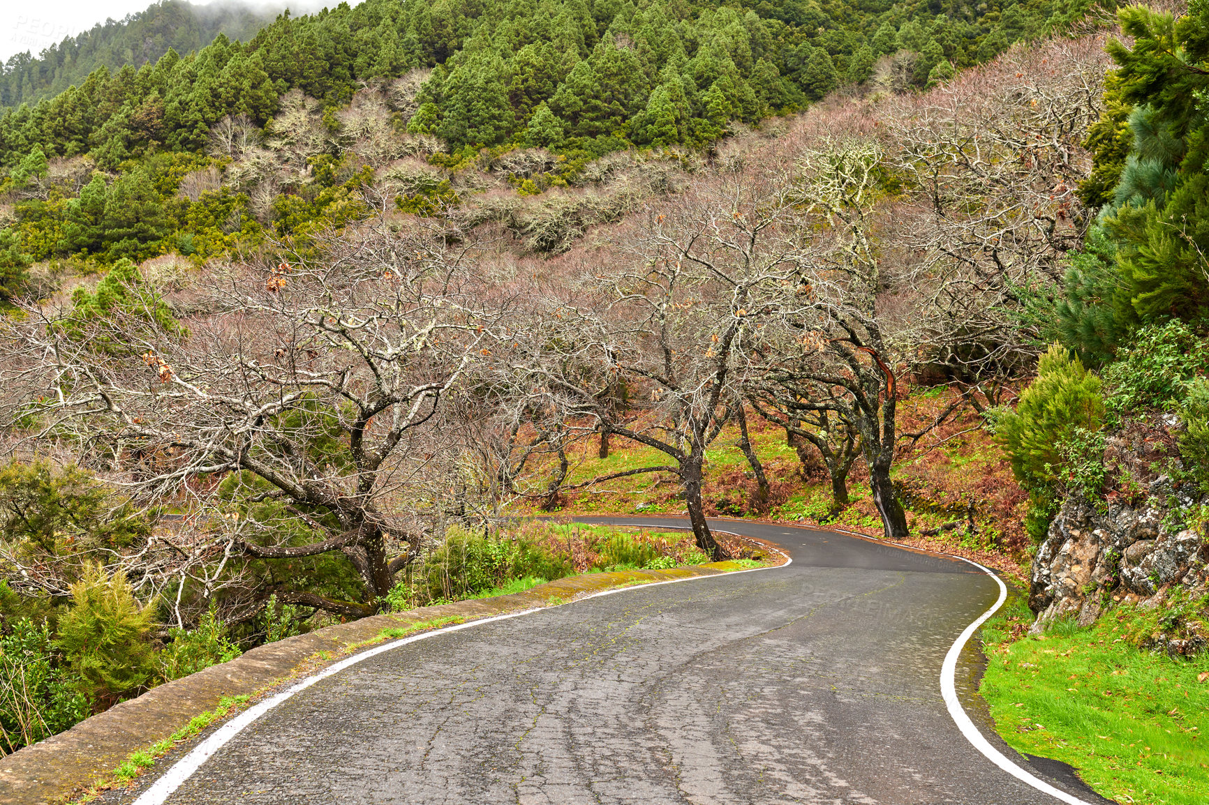 Buy stock photo Photo from the island of La Palma, Spain