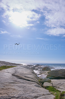 Buy stock photo Copy space at sea with birds flying against a blue sky background and rocky coast of La Palma Canary islands Spain. Waves crashing onto beach boulders against a scenic, tropical landscape getaway