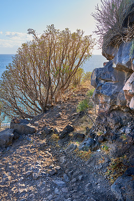 Buy stock photo Mountain trails on La Palma, the west coast, Canary Island, Spain, Aerial view