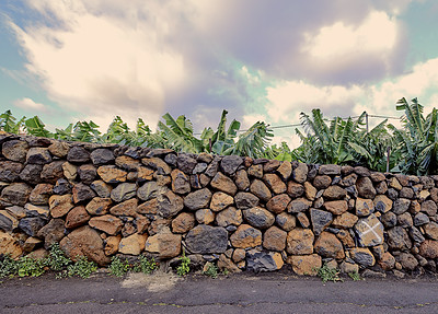 Buy stock photo Copyspace with palm trees behind an old stone wall in La Palma, Canary Islands, Spain against a cloudy sky background. Rough exterior architecture with plants growing in a remote tropical destination