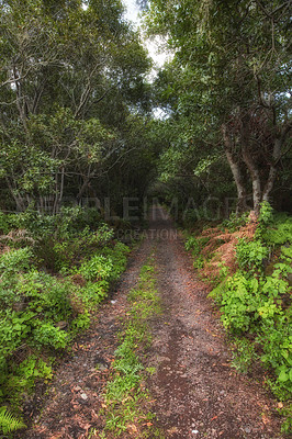 Buy stock photo Photo from the island of La Palma, Spain