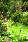 La Palma, Canary Islands