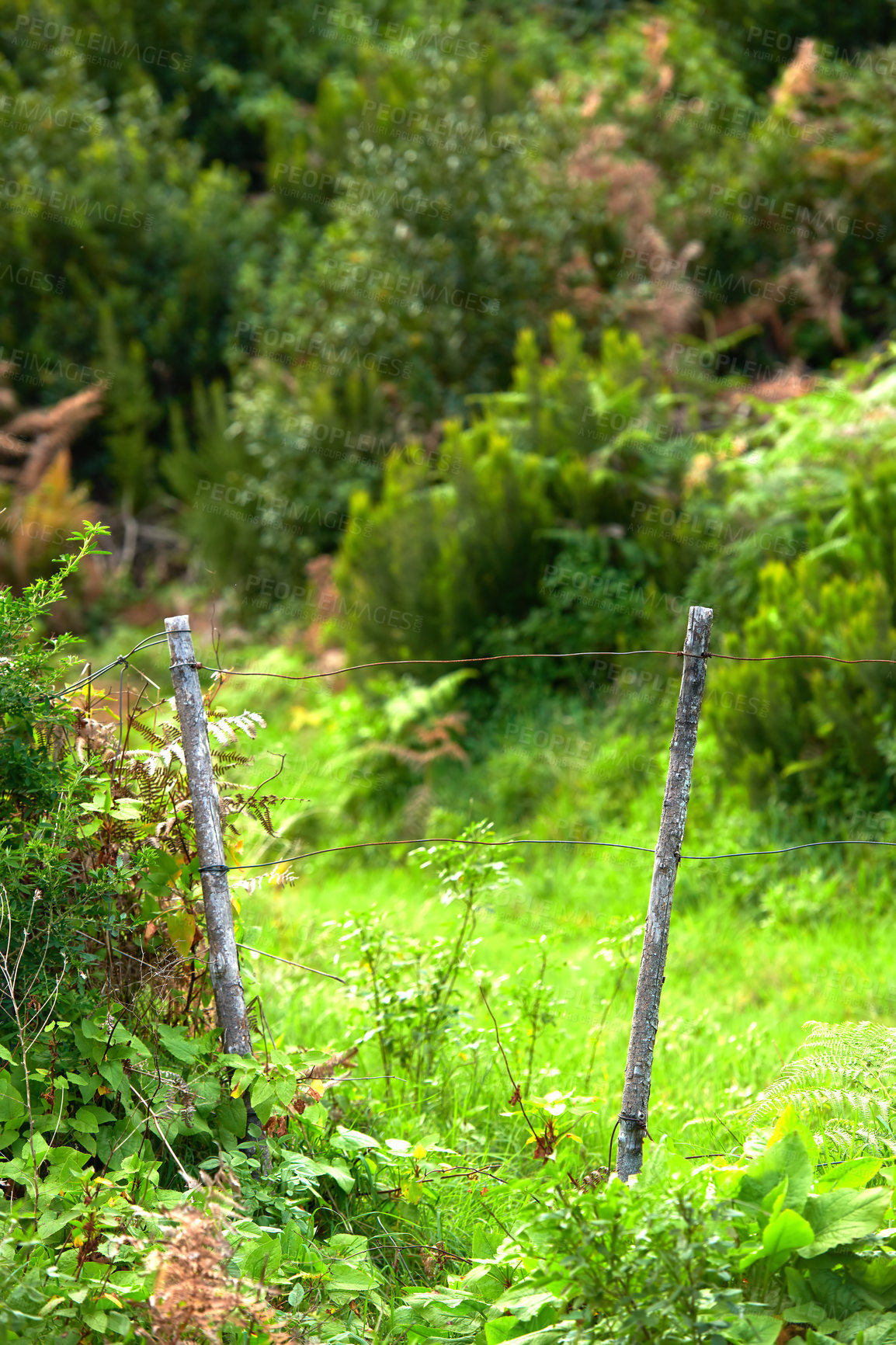 Buy stock photo Photo from the island of La Palma, Spain
