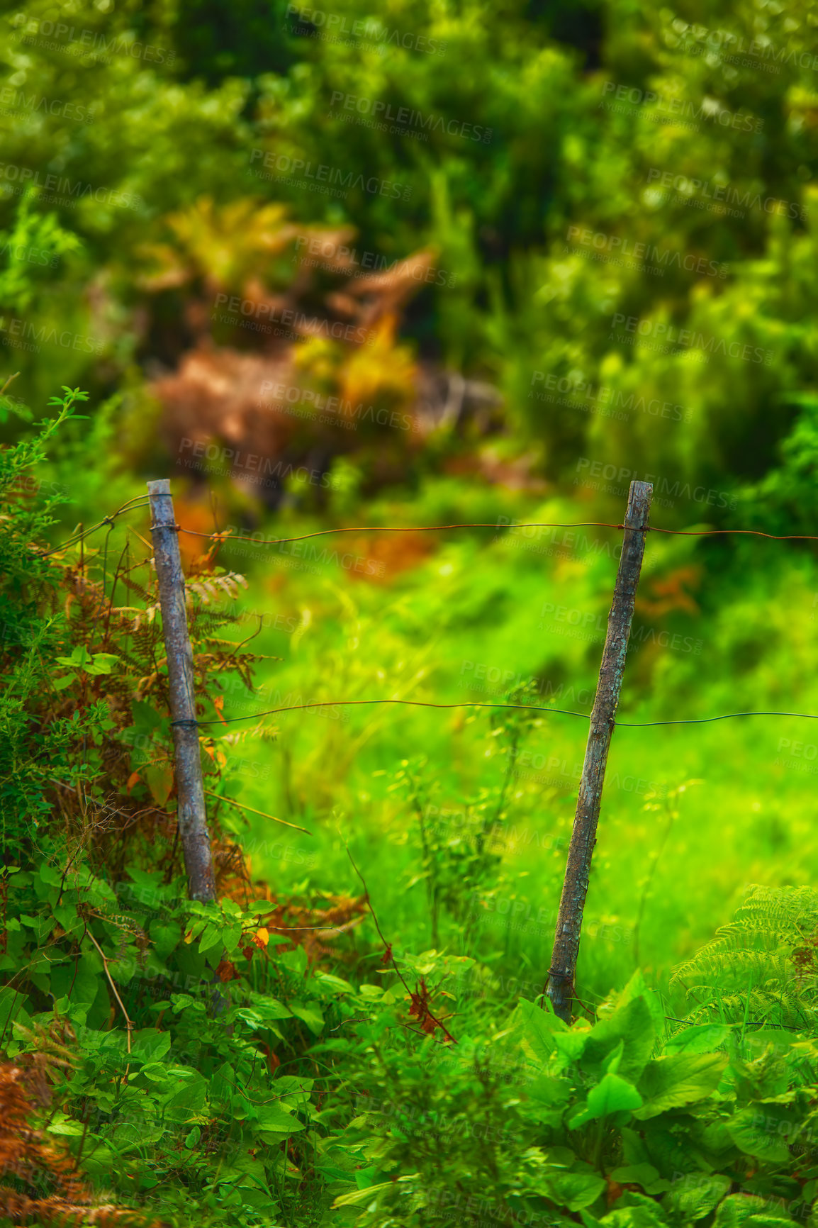 Buy stock photo Photo from the island of La Palma, Spain